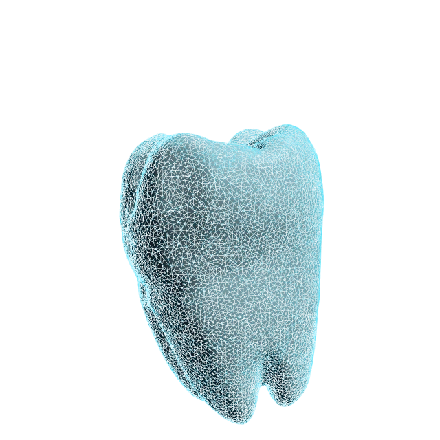3D model zuba — glodani cirkon